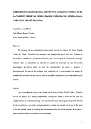 AAA_2009_273_fernandezmartin_cerrogrande_granada.pdf.jpg