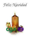 Miniatura de la versión del 09:36 19 dic 2013