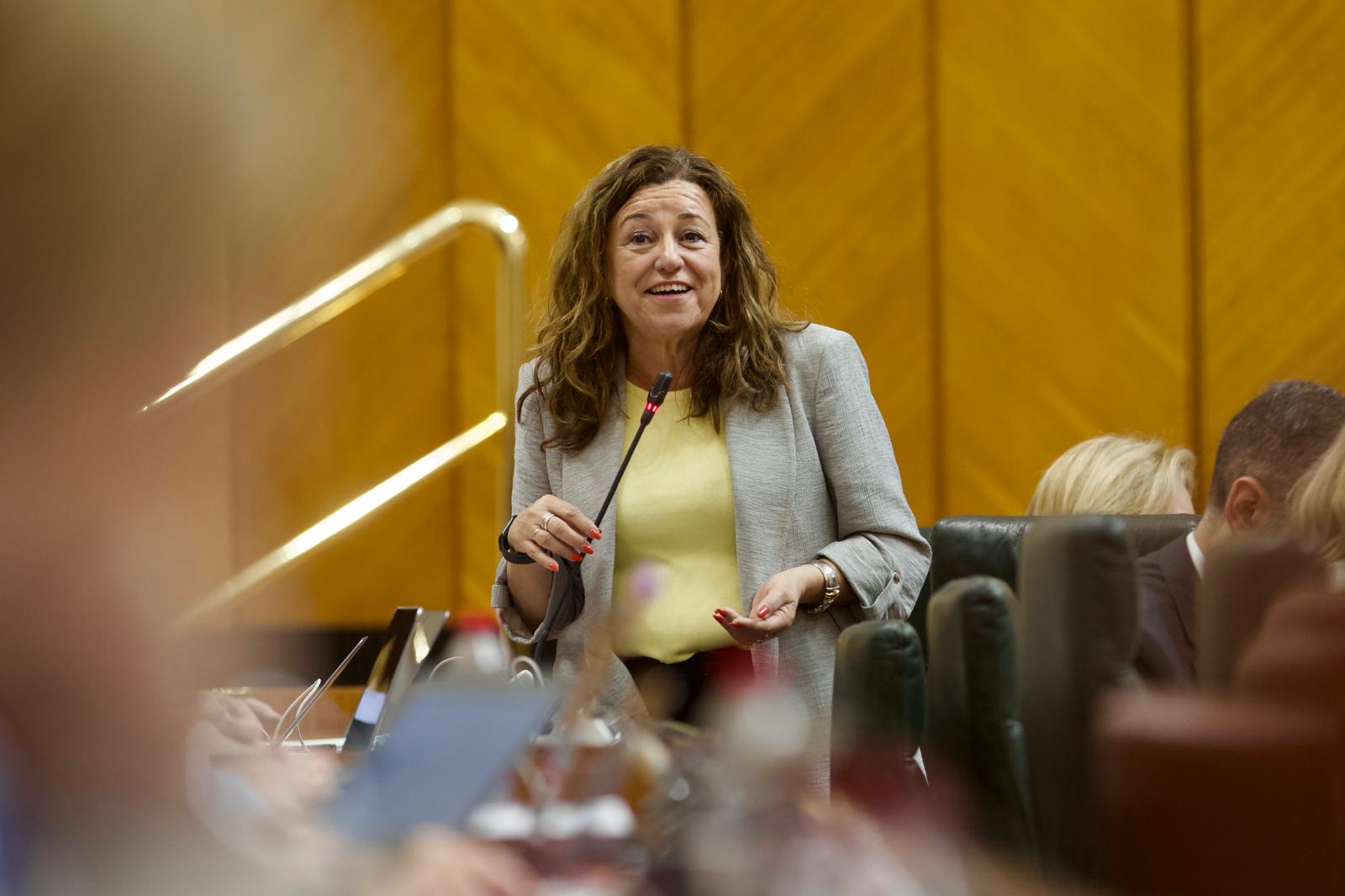 La consejera durante su intervención en el Parlamento.