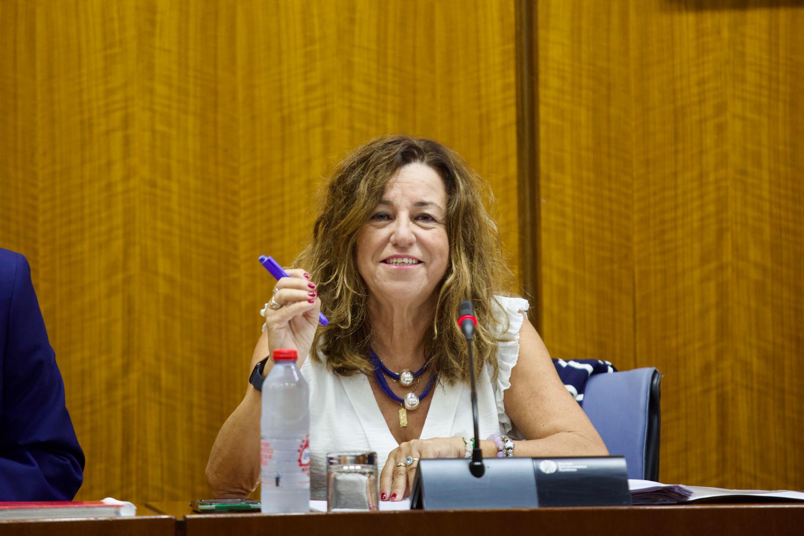 La consejera durante su intervención en el Parlamento.