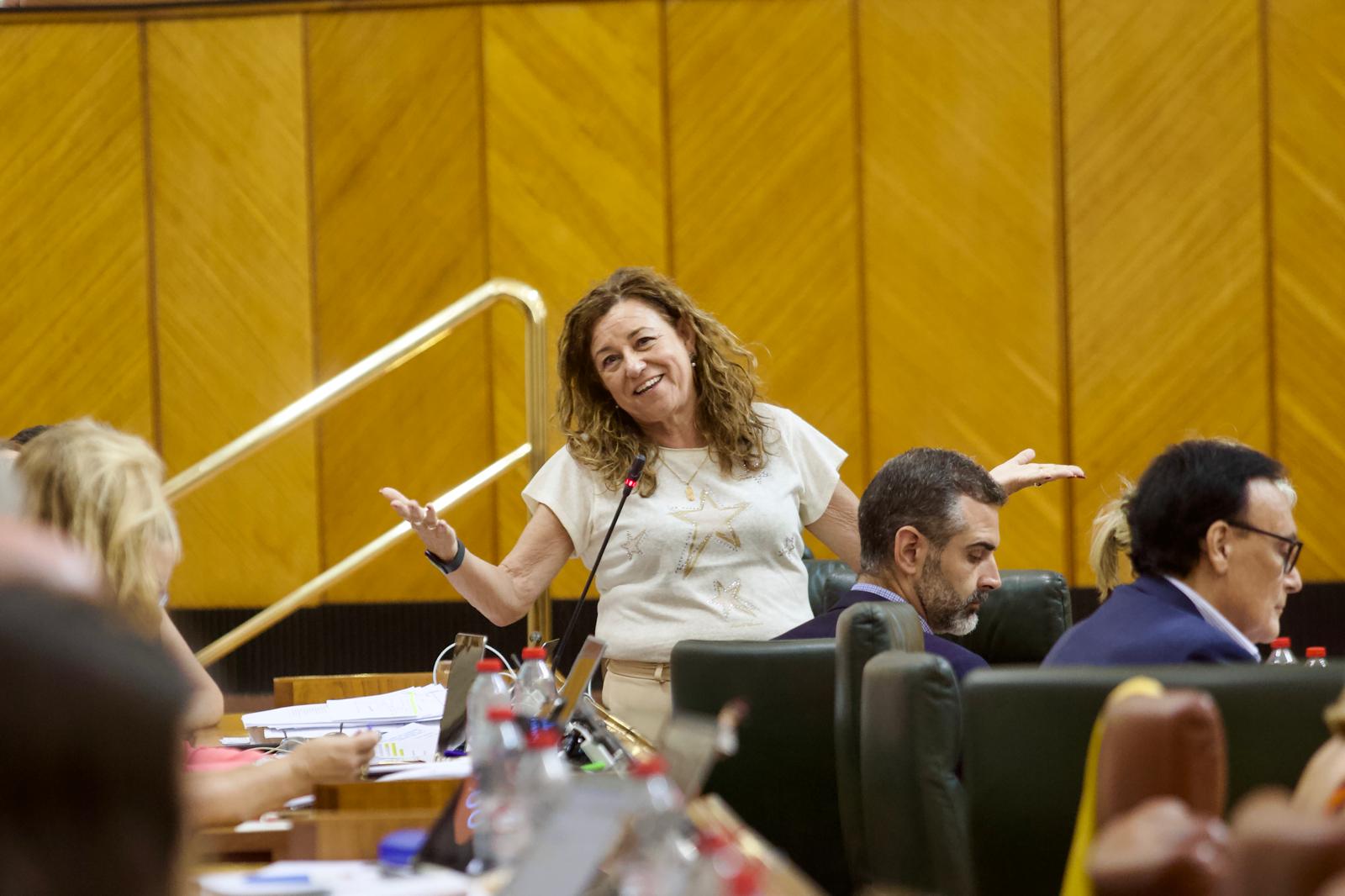 Castillo durante su intervención.
