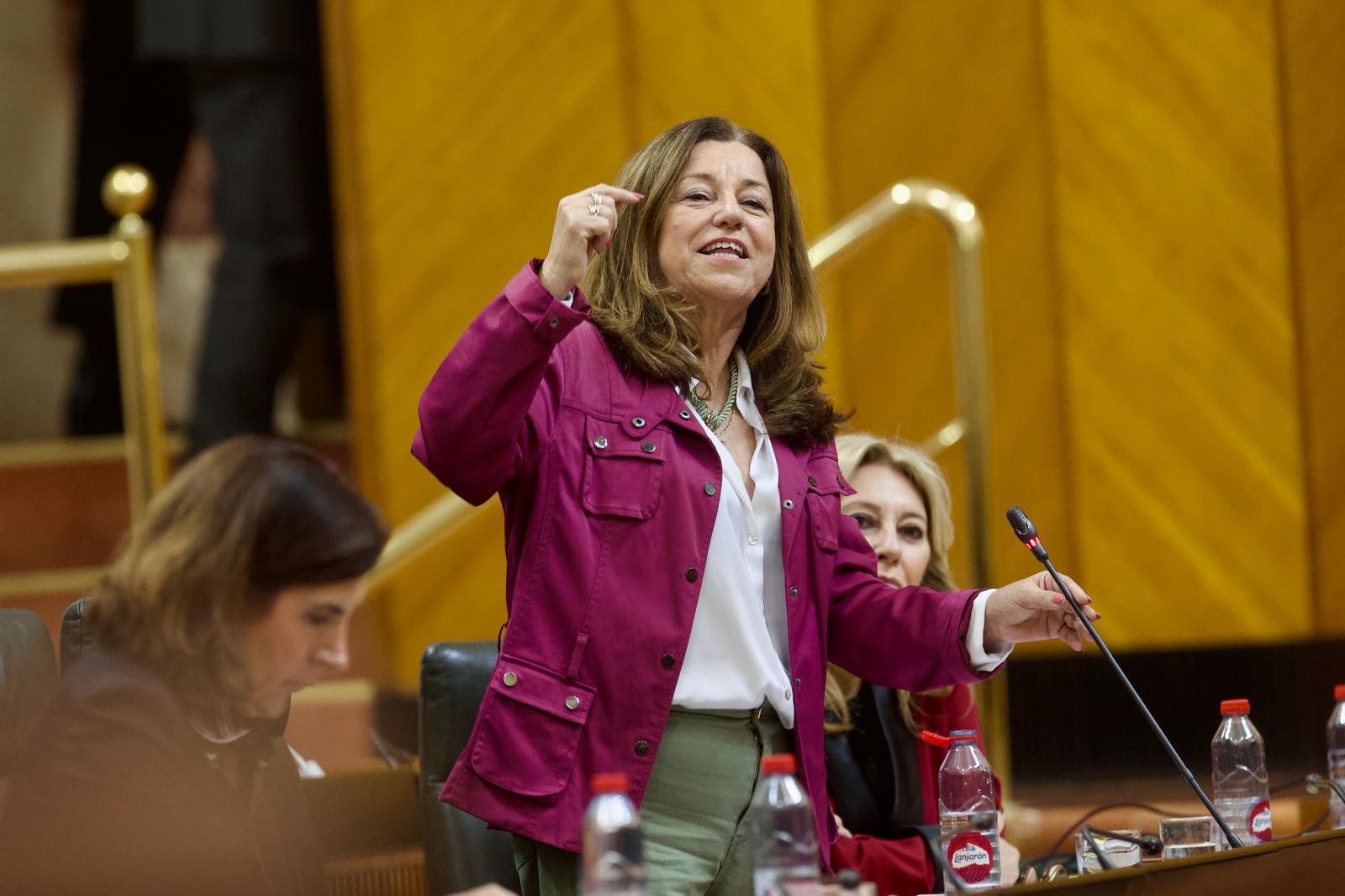 Castillo en el pleno del Parlamento.