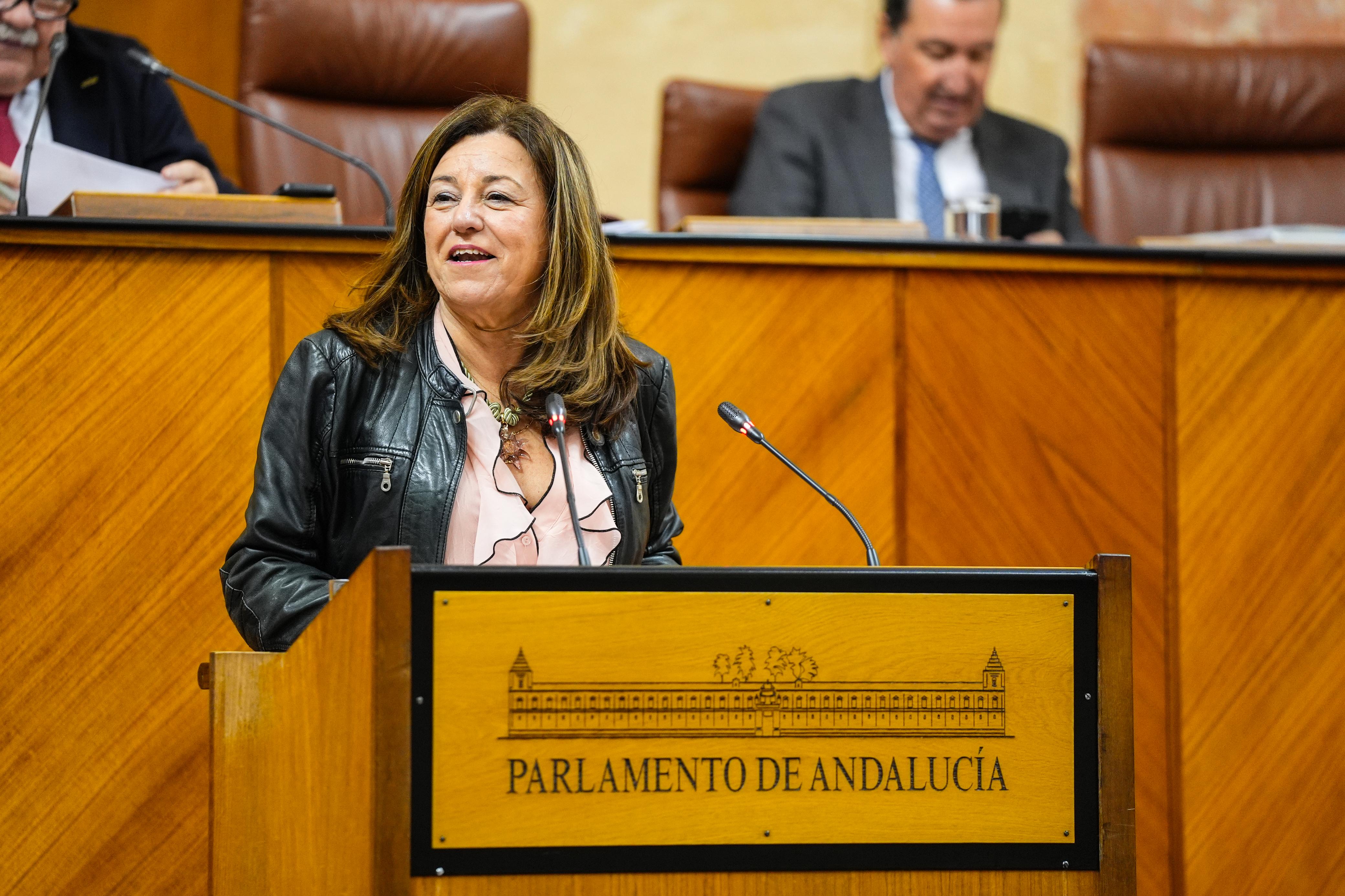 La consejera durante su intervención.