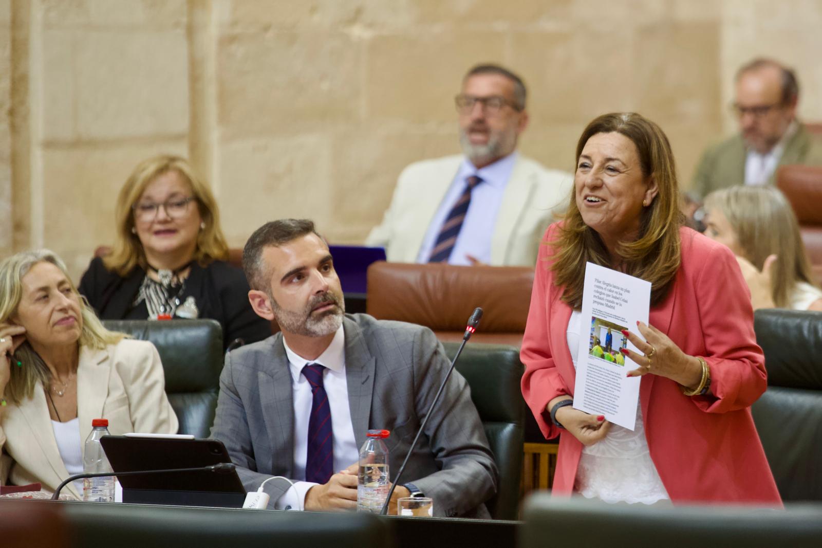 La consejera durante su intervención.