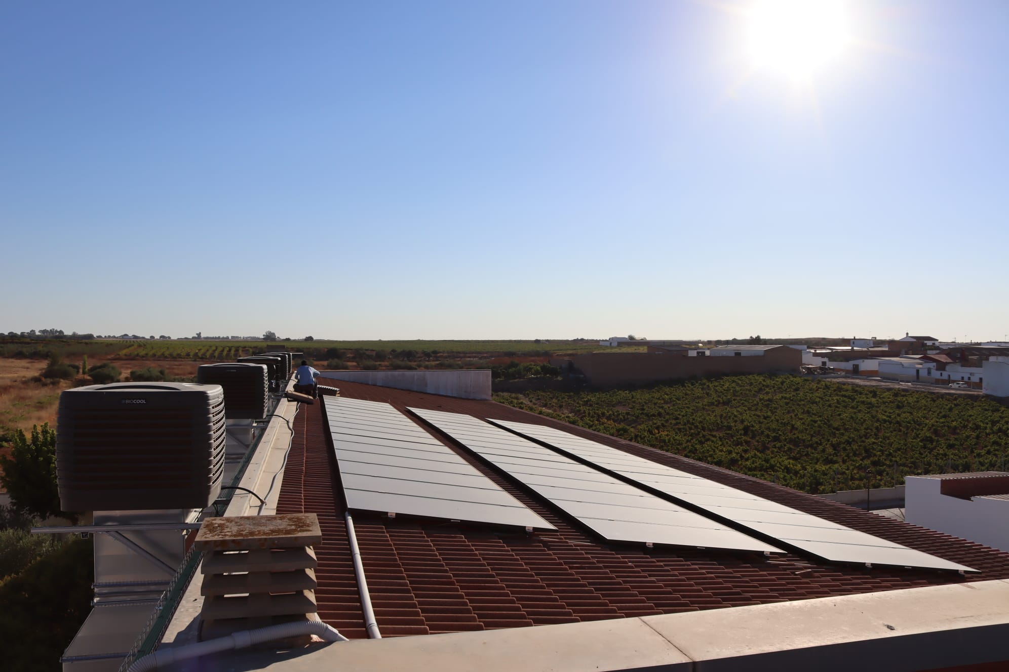 Paneles solares fotovoltaicos.