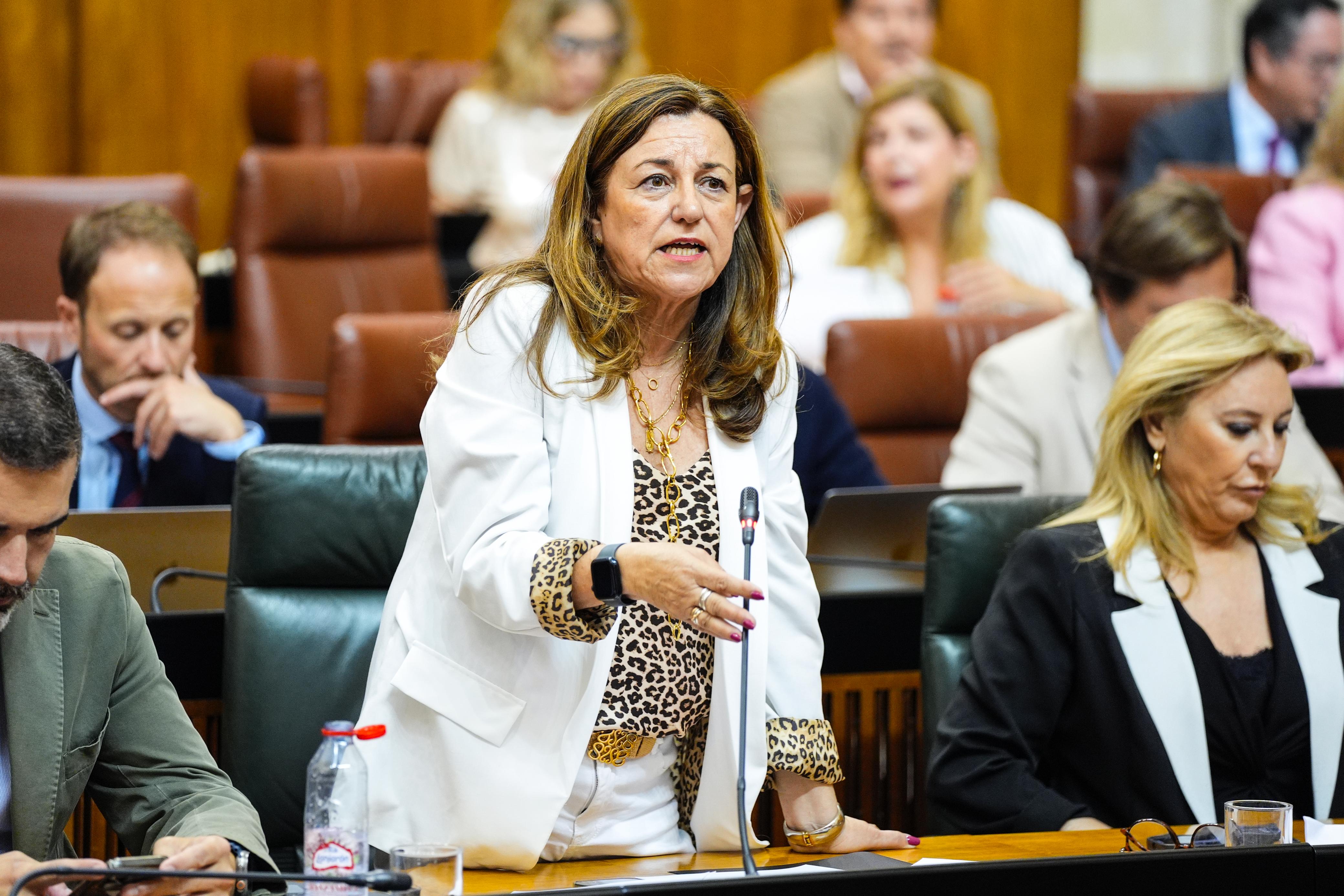 La consejera durante su intervención.