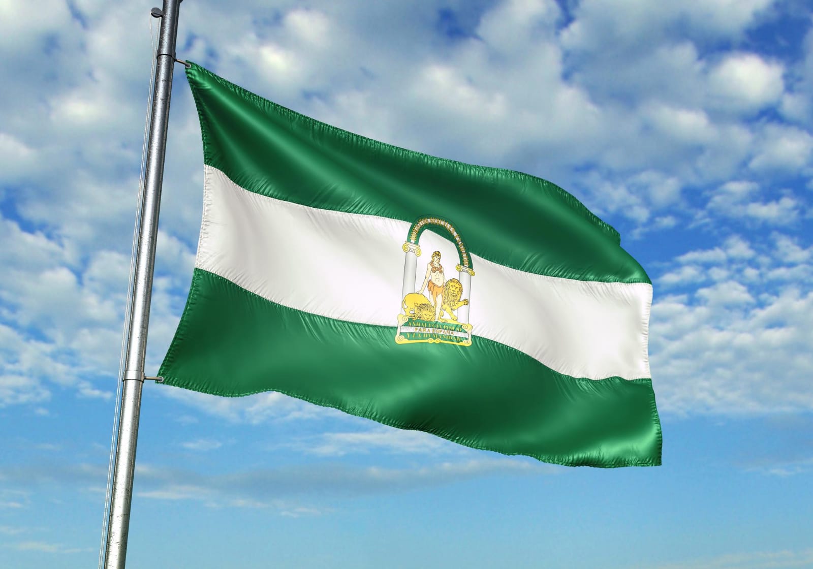 Imágen representativa contenido web