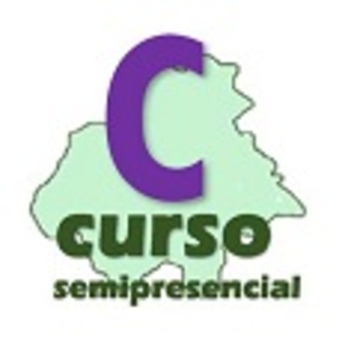 Curso semipresencial (Curso semipresencial.jpg)