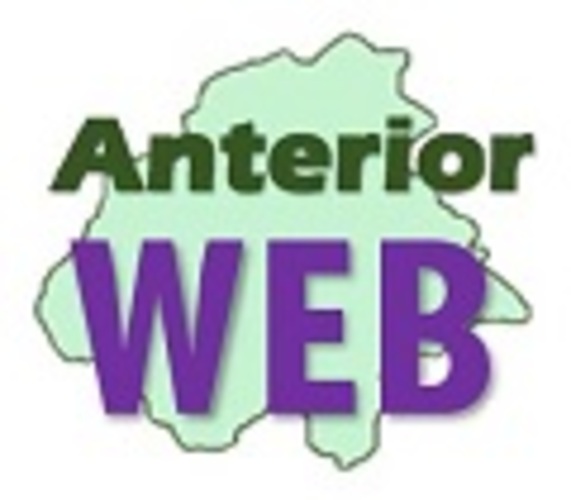 Anterior WEB