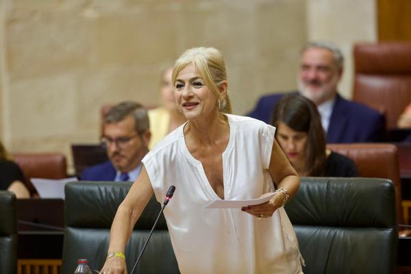 Pruebas Parlamento