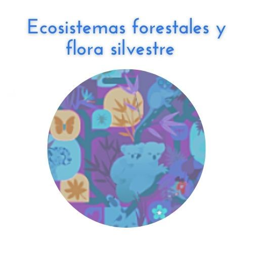 Ecosistemas forestales y flora silvestre