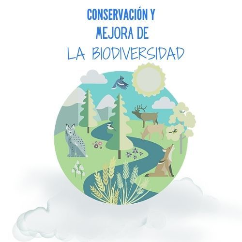 Conservación y mejora de la biodiversidad