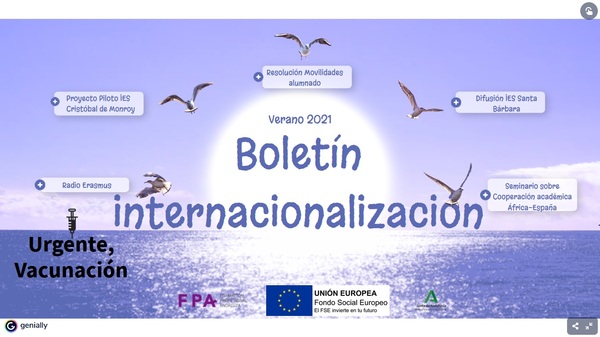 imagen boletín internacionalización verano 2021