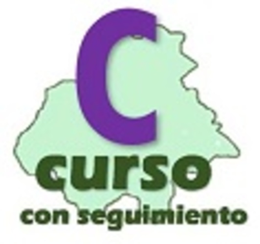 Curso seguimiento