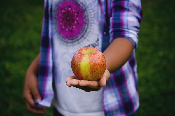 Plan Escolar de Consumo de Fruta y Hortalizas