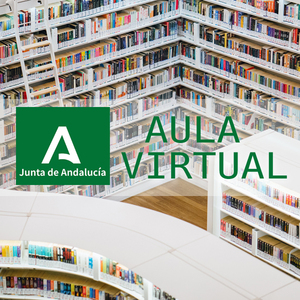 Aula Virtual - Recursos educativos digitales V4