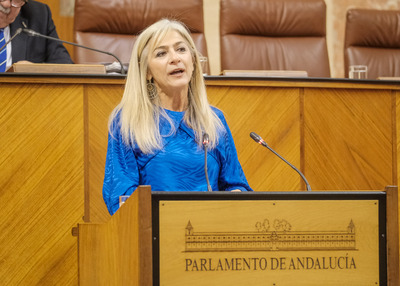 Oposiciones convocatoria parlamento