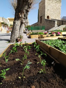 AJ ( Andaluzas de Jaén ppal )