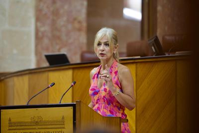 FP parlamento