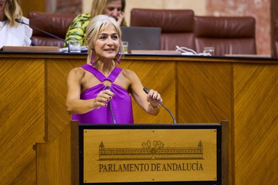 inicio de curso parlamento