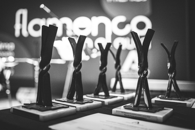 imagen VIII Premios Flamenco en el aula (2)