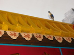 CHG ( DSCN4339 )