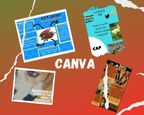 canva PPAL