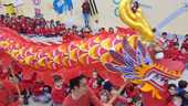 Celebración de año nuevo chinop en Málaga 2020 ( Málaga celebracioón año de la rata 7.jpg )