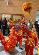 Celebración año de la rata aula Confucio Sevilla ( Año de la rata Sevilla 4.jpg )