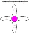 La flor flamenca 5