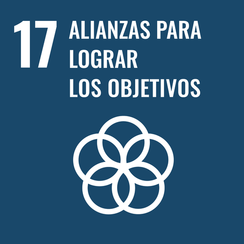 objetivo17