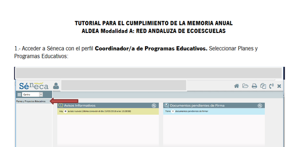 Tutorial para el cumplimiento de la Memoria ALDEAModalidad A