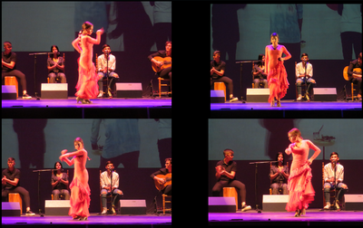 imagen Foto VI