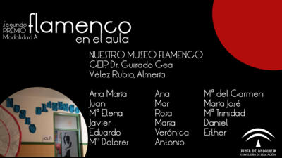 Nuestro Museo Flamenco