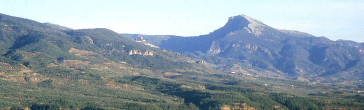 Centro del Profesorado de Orcera