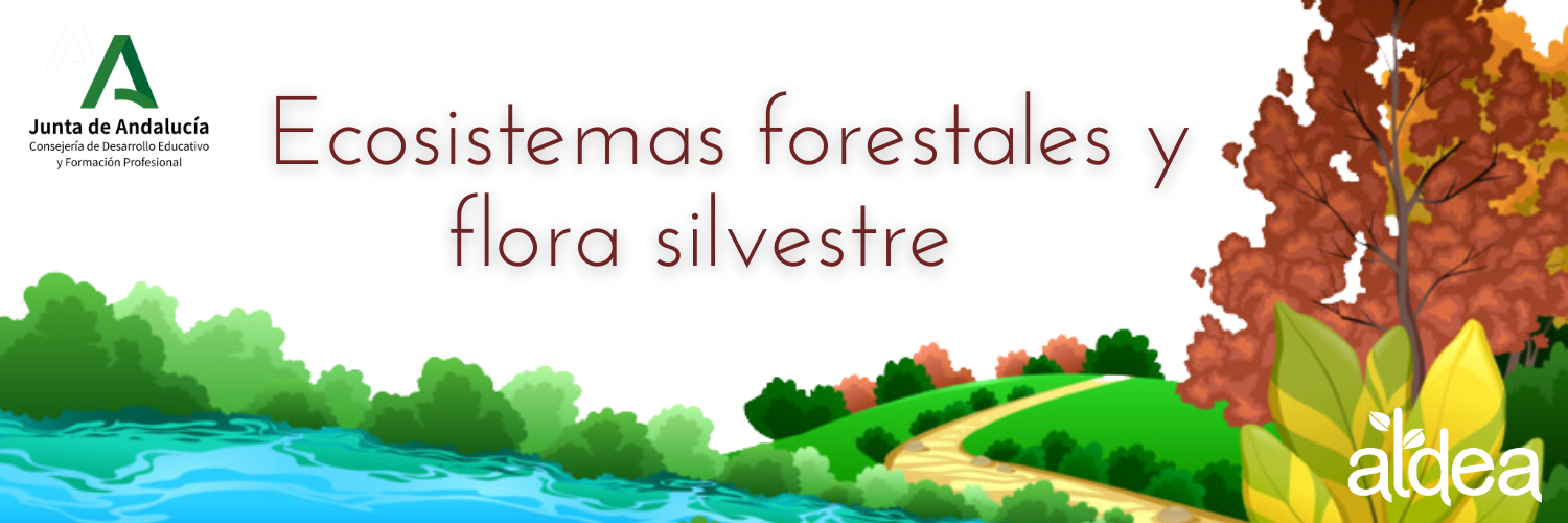 Ecosistemas forestales y flora silvestre