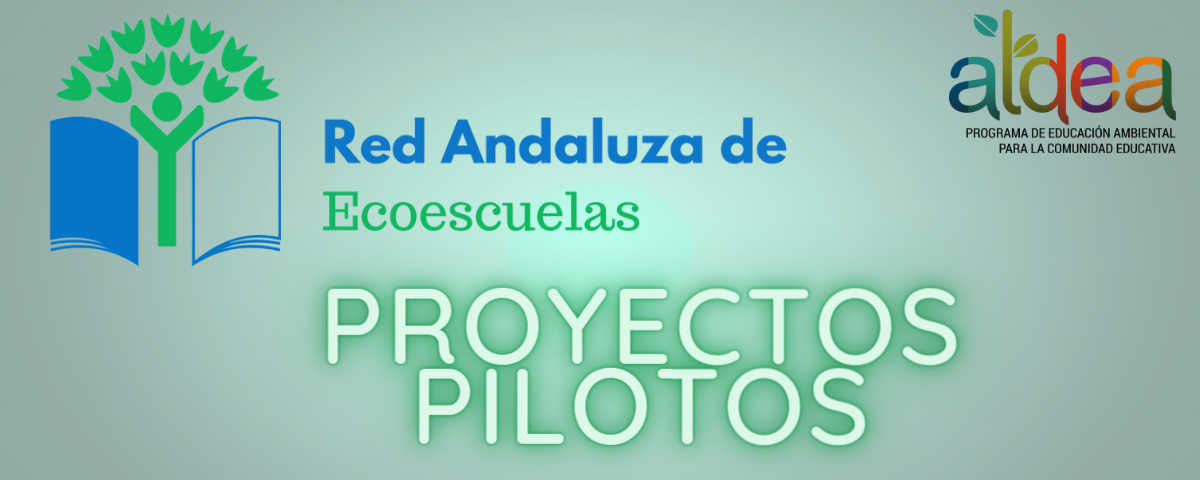 proyectos pilotos