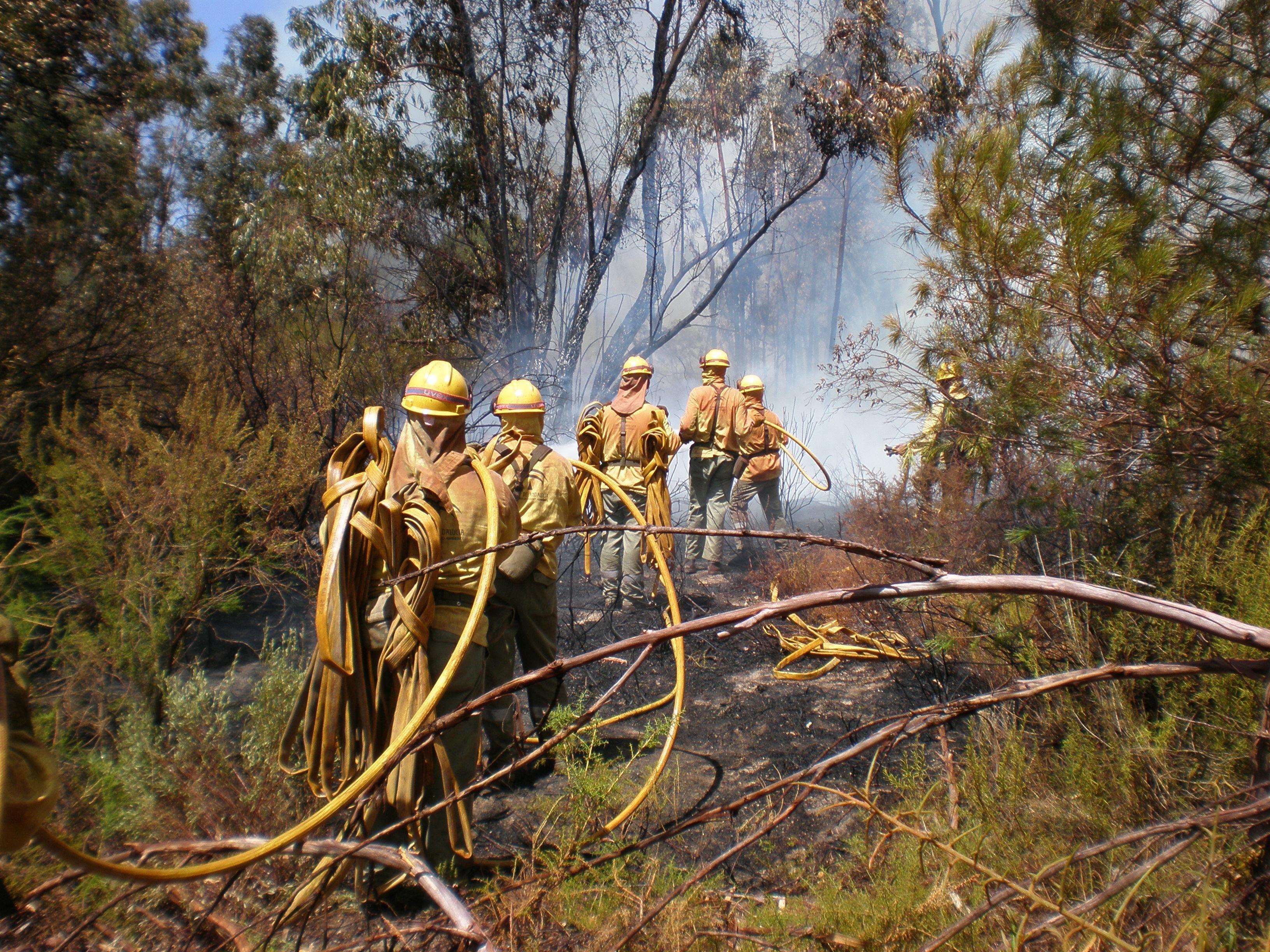 Bomberos forestales sofocando un incendio.