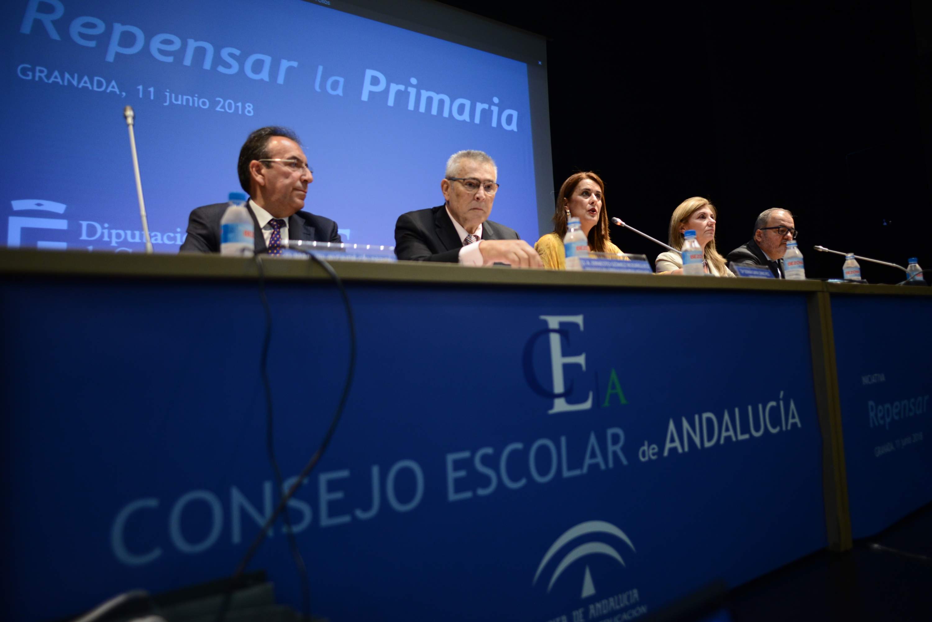 Sonia Gaya en el pleno del Consejo Escolar de Andalucía.