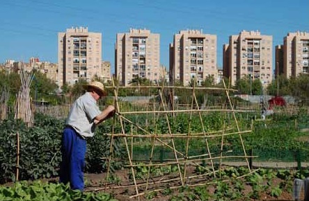 Imagen de un parque