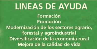 Lineas de ayudas