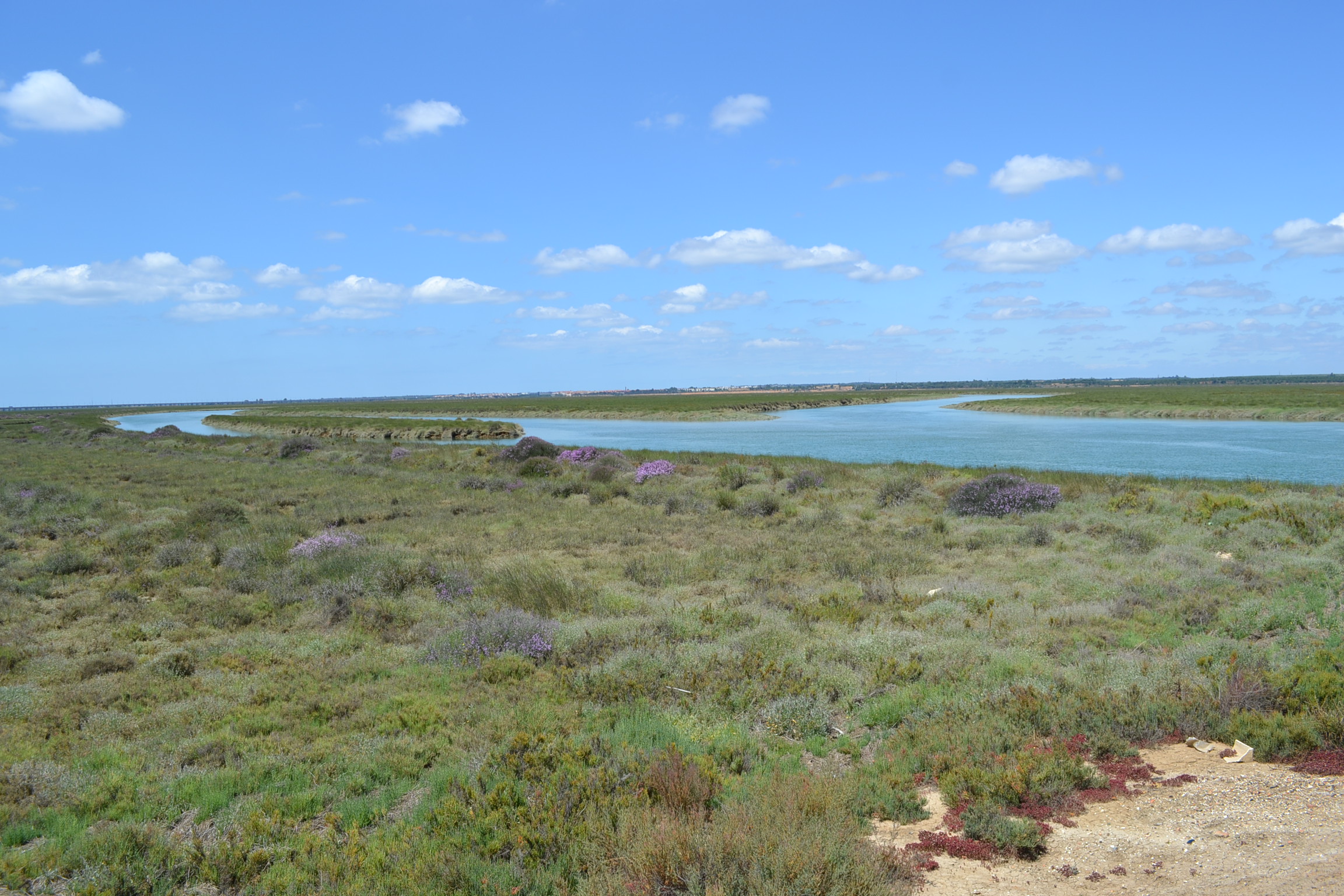 Estuario Norte Odiel