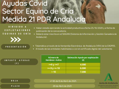 Medida 21 Equino