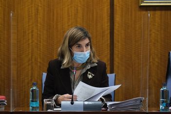 Resultado de imagen de Empleo inicia la licitación de un programa de FPE para jóvenes menores de 30 que destinará a Sevilla 1,7 millones de euros.