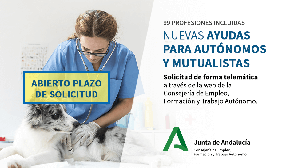 Cabecera identificativa de ayudas a Pymes y autónomos. Veterinaria atendiendo perro