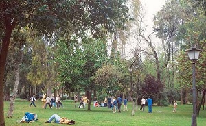 Imagen de un parque