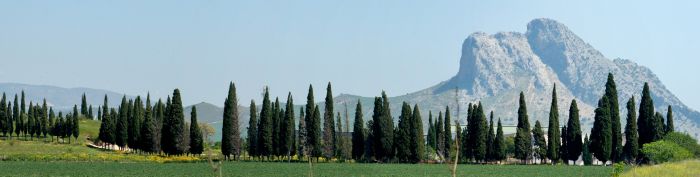 Imagen de la Vega de Anequera (Málaga)