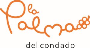AYTO LA PALMA CONDADO
