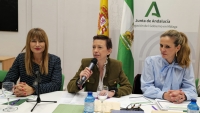 La comisión provincial contra la violencia de género de Málaga analiza las actuaciones de 2024 y urge a “no bajar la guardia” durante las fiestas navideñas
