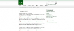El Instituto Andaluz de la Mujer publica cuatro convocatorias de subvenciones para la atención social y laboral a las mujeres